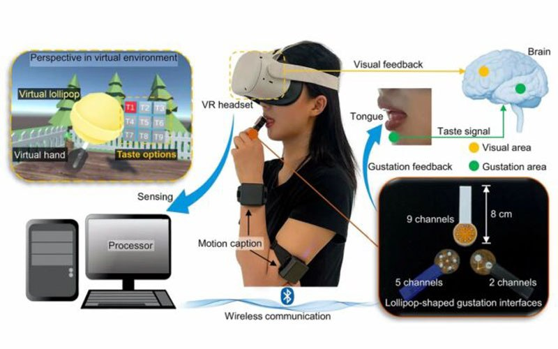 Científicos Desarrollan una Piruleta Virtual que Transmite Sabores por Internet
