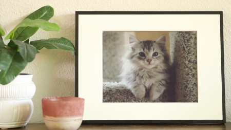 Nuevo marco digital Reflection Frame: el marco digital E Ink Spectra 6 a color más económico llega a Kickstarter