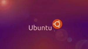 Privacidad o progreso: El dilema de Canonical al integrar modelos locales en Ubuntu 26.04