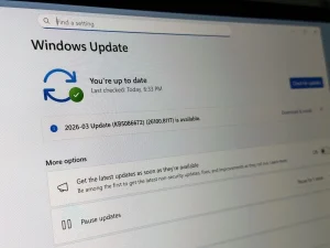 Windows 11 deja pausar las actualizaciones sin fecha límite