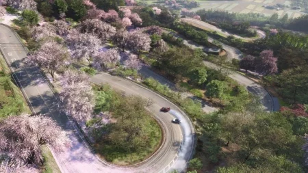 Un jugador de Forza Horizon 6 comparte códigos para fotografiar todos los coches de Horizon Promo