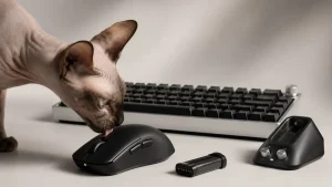 Wallhack prepara un ratón con baterías intercambiables y un teclado 65%