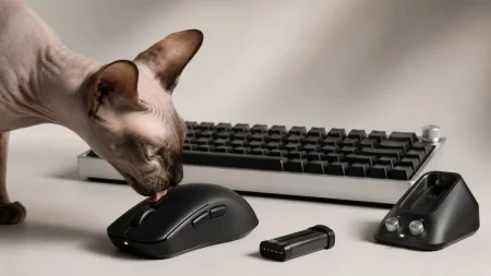 Wallhack prepara un ratón con baterías intercambiables y un teclado 65% Wallhack prepara un ratón con baterías intercambiables y un teclado 65%