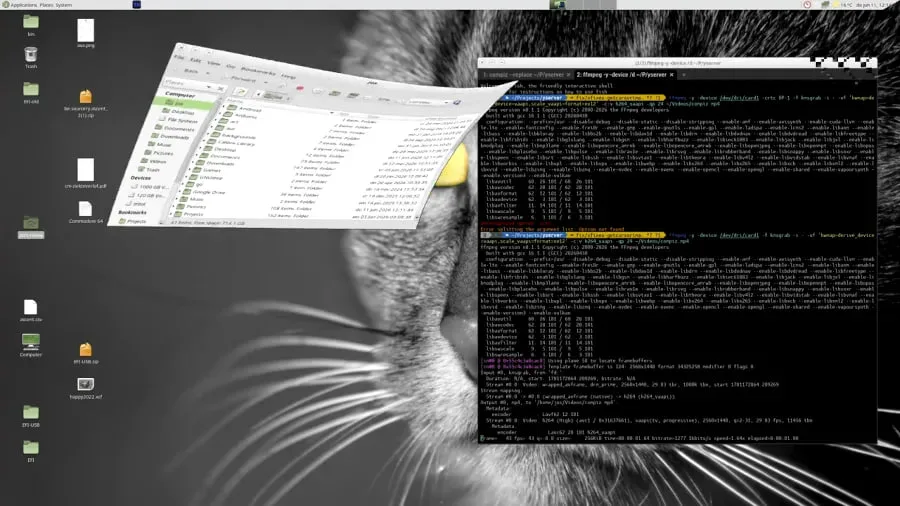 Un X11 Server en Rust suma Xinerama y soporte para FreeBSD Un X11 Server en Rust suma Xinerama y soporte para FreeBSD