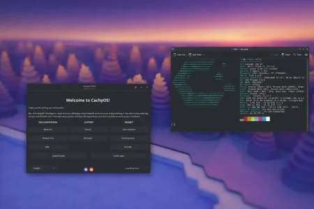 CachyOS Linux — CachyOS ignoró al Open Gaming Collective y ya es la segunda distro más usada en Steam