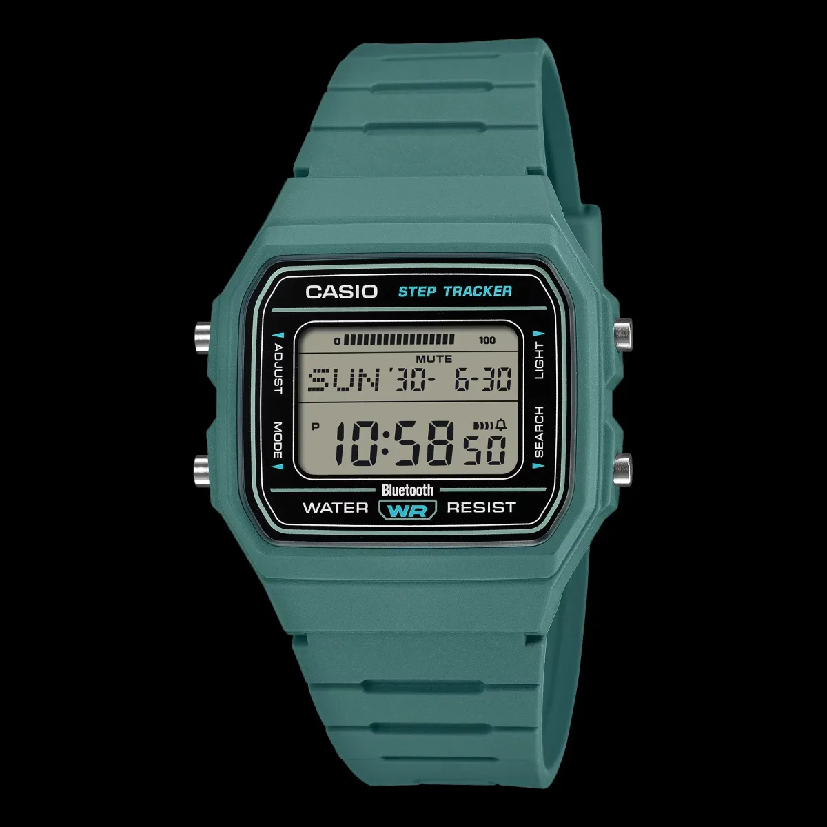Casio F-B100W watches