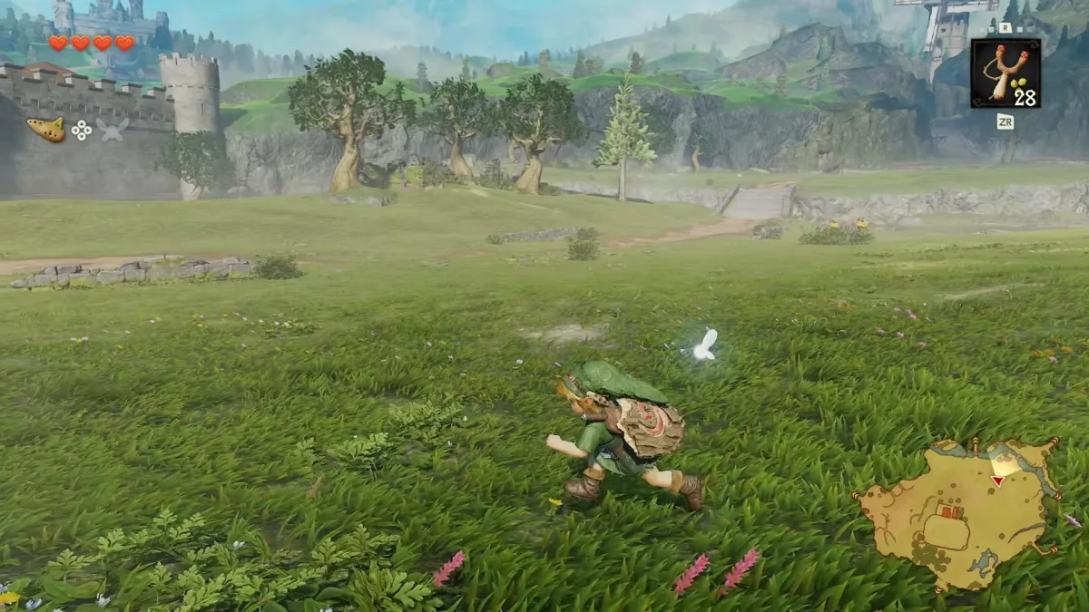 Zelda