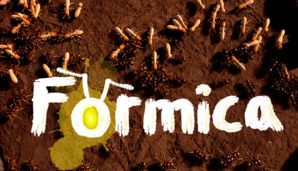 Formica