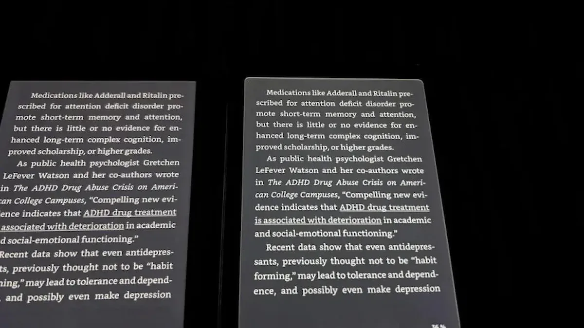 Kindle 2026 — Pantalla de Kindle básico afectada por fugas de luz