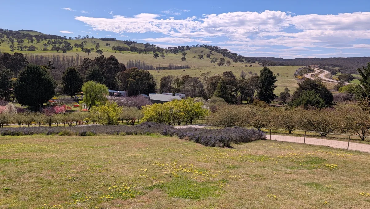 Google Pixel 11 camera samples